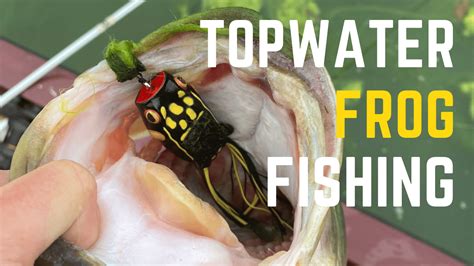 Topwater Bass Fishing: The Art Of Using Topwater Frog Lures