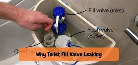 Why Toilet Fill Valve Leaking: Discovering the Reasons!