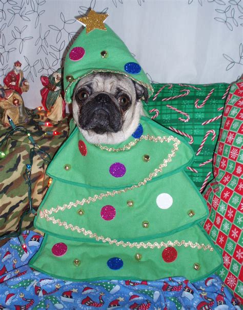 Pug Xmas Tree - Simon The Pug | Pugs, Pug life, Xmas tree