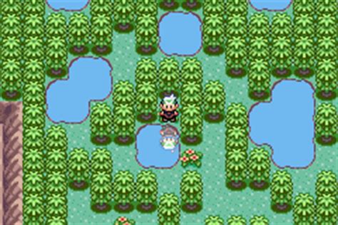 Pokémon Emerald - Faraway Island