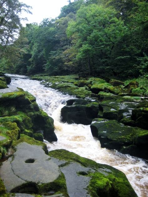 the strid | Tumblr