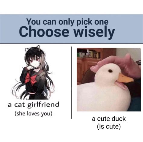 You can only pick one; choose wisely : r/MemeTemplatesOfficial