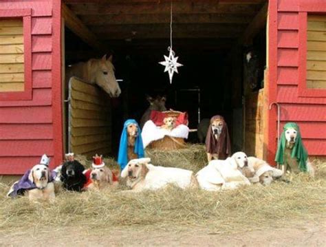 55 Nativity Scenes That Are Way Funnier Than Normal Ones