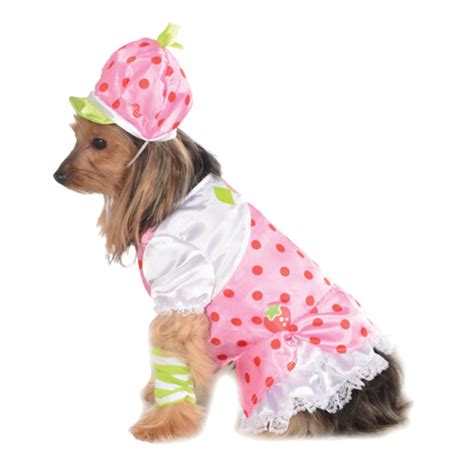 Strawberry Shortcake Dog Costume | BaxterBoo