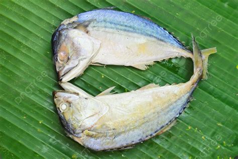 Chub Mackerel On A Banana Leaf Green Leaf Dinner Photo Background And Picture For Free Download ...