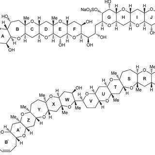 Structure of maitotoxin, one of the most complex natural products ever ...