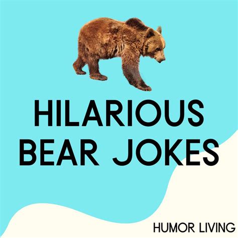 Funny Bear Memes