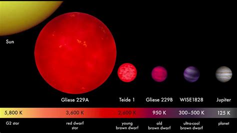 Sizes of Stars and Sub-Stellar Objects: From Brown Dwarf to Red Hypergiant - YouTube