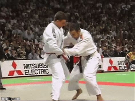 judo gifs Page 3 | WiffleGif