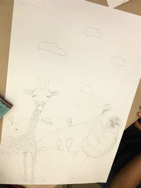 ANIMAL DRAWINGS – 4TH GRADE – Art with Mrs Filmore