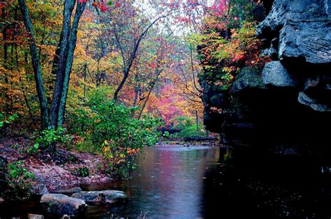 a rock bluff above a creek with lots of fall color at Hawn State Park ...