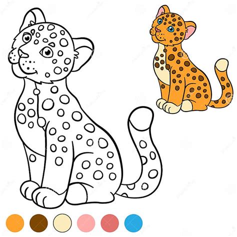 Coloring Page with Colors. Little Cute Baby Jaguar. Stock Vector - Illustration of jungle, cute ...