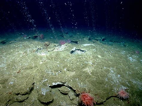 Numerous methane leaks found on Atlantic sea floor | Science | AAAS