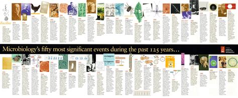 Timeline | Microbiology, Science biology, History timeline