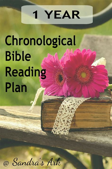 Sandra's Ark: Chronological Bible Reading Plan
