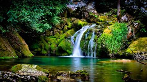 nature, Landscape, Waterfall, 3D Wallpapers HD / Desktop and Mobile Backgrounds