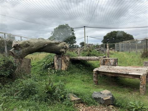 Snow Leopard Enclosure #2 at Northumberland Country Zoo (September 2021) - ZooChat