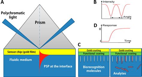 Sensors | Free Full-Text | Surface Plasmon Resonance: A Versatile Technique for Biosensor ...