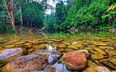 Information Dose: Endau-Rompin Johor National Park