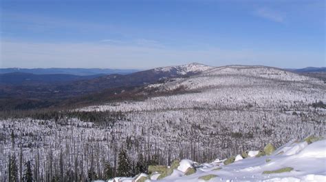 Bavarian Forest National Park Tours - Book Now | Expedia