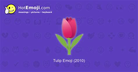 🌷 Tulip Emoji Meaning with Pictures: from A to Z