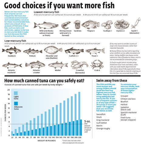 Consumer Reports Reveals Low-Mercury Fish Choices - Clarksville Online - Clarksville News ...