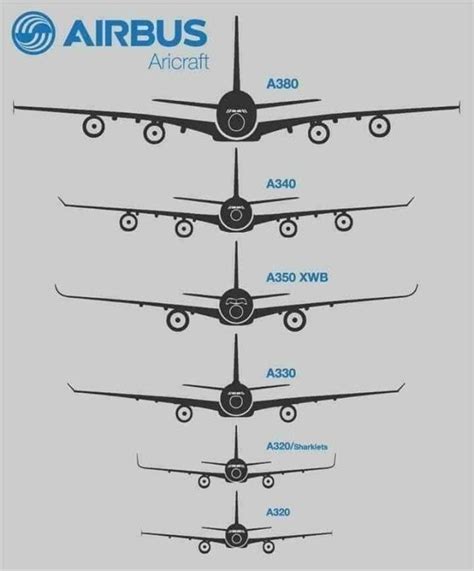 Size comparison between modern Airbus aircraft. | Pilots quotes aviation, Pilots aviation ...