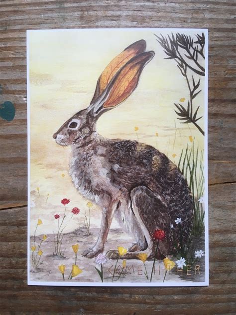 Desert Hare Postcard - Etsy