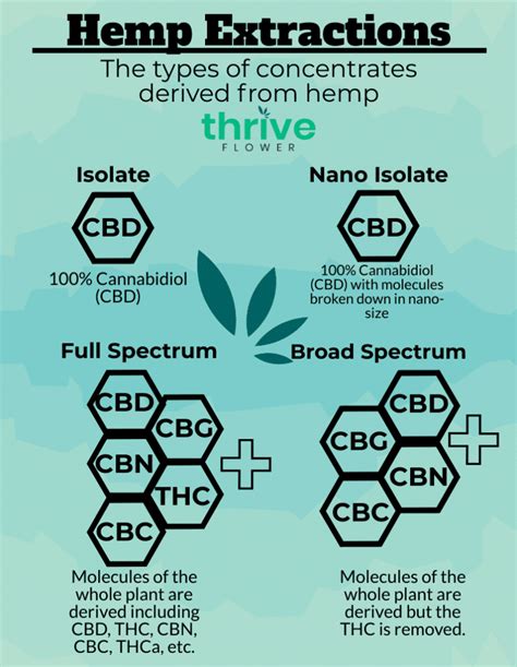 Types of CBD Explained Easy - Thrive Flower | Learn Now