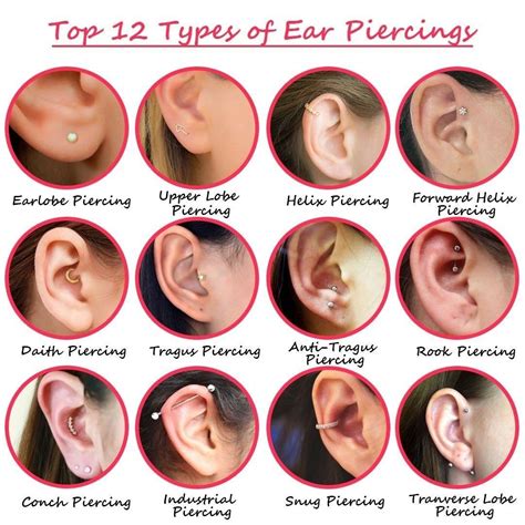 Pin by Alexandra Rios on Tattoo & Piercing | Pretty ear piercings, Types of ear piercings, Cool ...