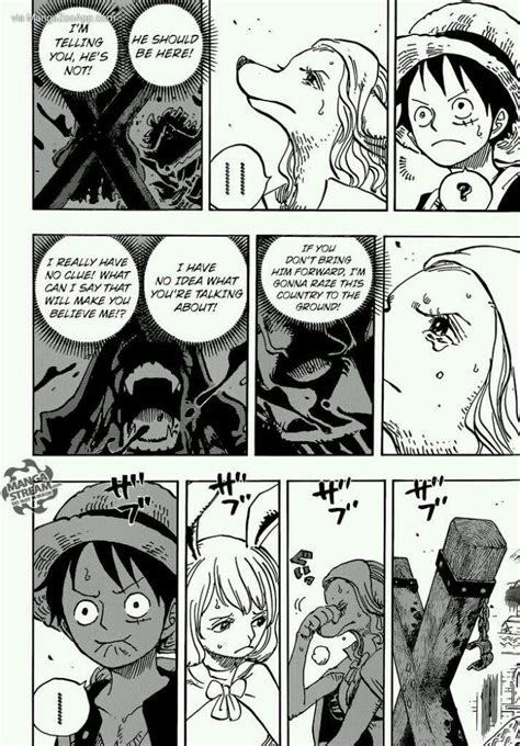 One Piece: Zou Arc (Manga) Chapter 806 | Anime Amino