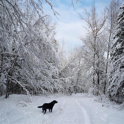 One Perfect Winter Day in Marquette, Michigan: A Local's Guide — Em's On The Road