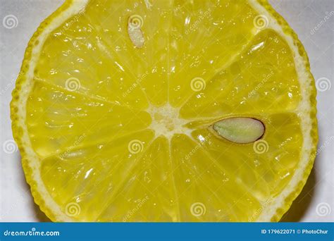 Lemon fruit slice close up stock image. Image of yellow - 179622071