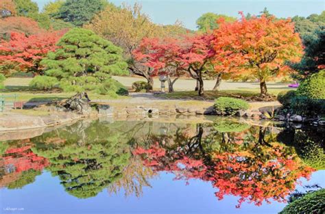 Autumn 2016: Shinjuku Gyoen – Lakbayer