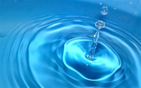 Water Drop Full HD Wallpaper and Background Image | 1920x1200 | ID:324911