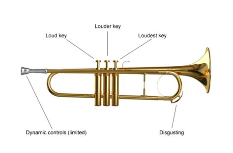 Trumpet - Musical instrument instruction diagrams: get to know your instrument - Classic FM