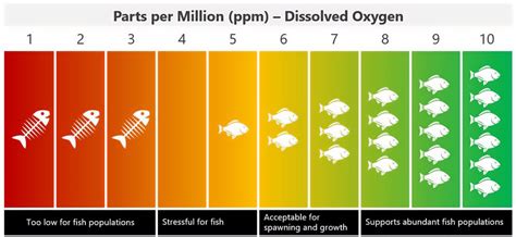 How Does Dissolved Oxygen Get Into Water? | Atlas Scientific