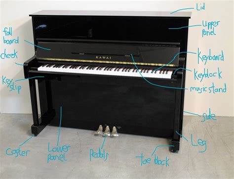 Yamaha Digital Piano Parts | Reviewmotors.co