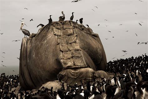 Holy Crap! A Trip to the World's Largest Guano-Producing Islands | Audubon