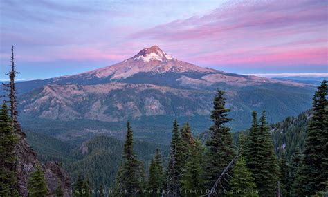 Mount Hood National Forest - Oregon Photography