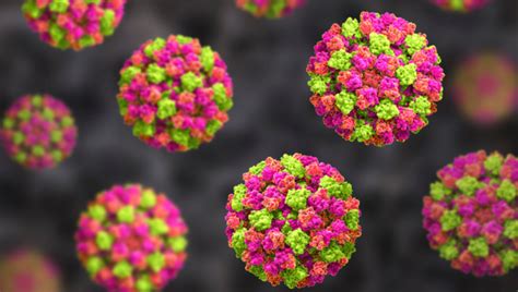 Norovirus outbreak | Food Safety News