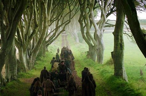 Game of Thrones | Dark Hedges | Giants Causeway Experiences