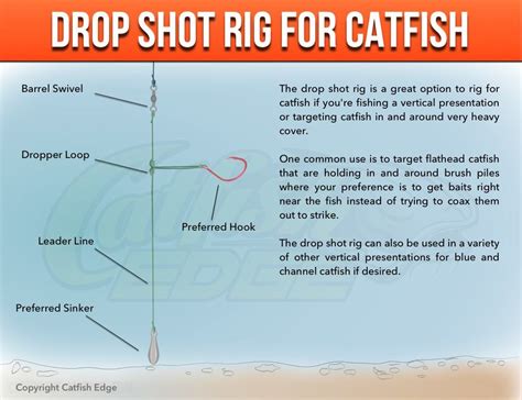 Drop Shot Rig For Heavy Cover Catfish