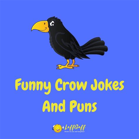 25+ Hilarious Crow Jokes And Puns! | LaffGaff