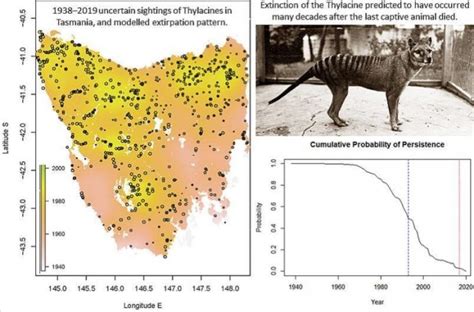 Does the Tasmanian Tiger Still Exist? It's a Long Shot » Explorersweb