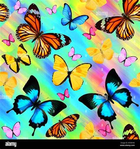 Colorful Butterfly Backgrounds