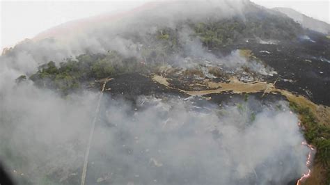 The Amazon rainforest is on fire. Here’s what that means for the ...