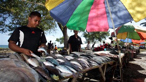 Securing Sustainable Fishing in the Pacific Coral Triangle Countries ...