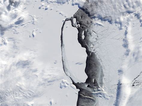 Antarctica's giant iceberg calves, drifts away in satellite video - Business Insider