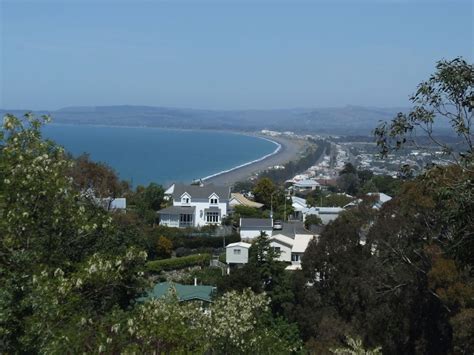 Free picture: napier, waterfront